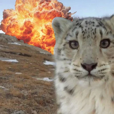 Rougher Snep in TSC? -//Lumiartic Crystals...Ahhh//- 