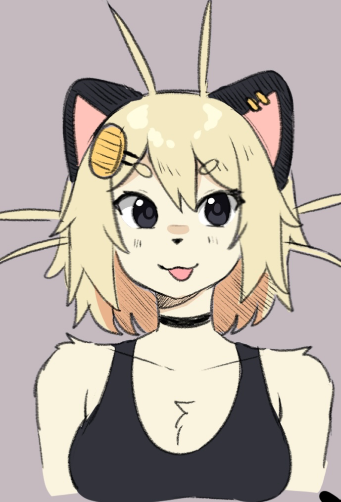 Cat lady- WAIT SHE’S A POKÉMON LADY
