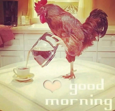 Coffee Break 
