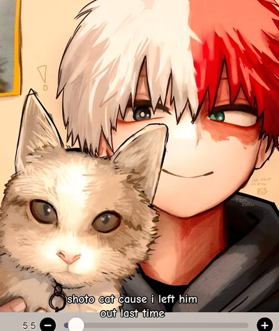 Shoto Todoroki | Online boyfriend