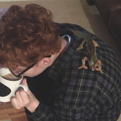 —̳͟͞͞ - ̗̀ percy weasley ꒱