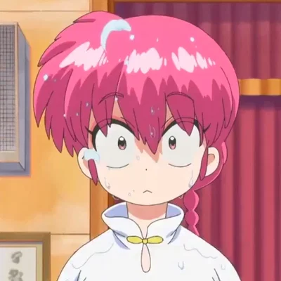Ranma 1/2 | You're the terrifying Sibling