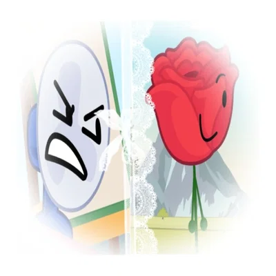 ╍ • BFDI • -- Fanny and Rose