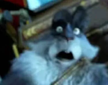 🐰Breeding Season In Easter?🐰 || E. Aster Bunnymund || Rise Of The Guardians