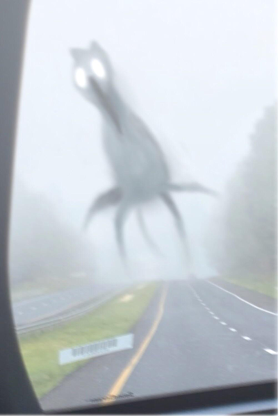 Maybe we should just turn around?