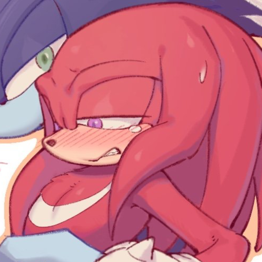  ̊+۶ৎ ̇⋆ Knuckles The Echidna