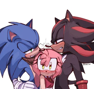 Sonic and shadow