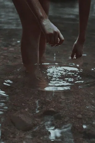 The Swimmer