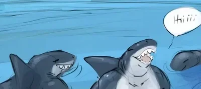 Shark Ladies