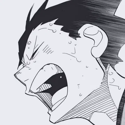 Kuroo Tetsuro 