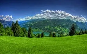 Moving to greener pastures