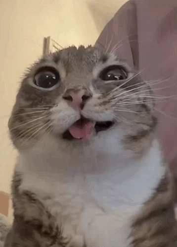 *Cums on you as you scroll by*