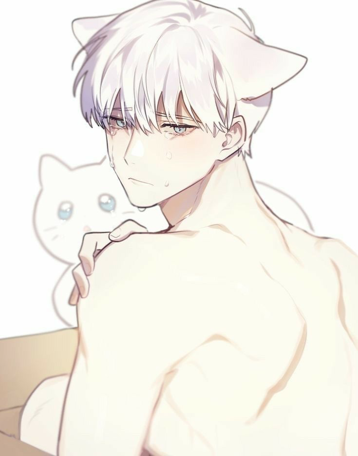 ✦  Yuki 