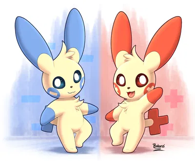 minun and plusle