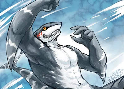 Rudy the dumbass shark
