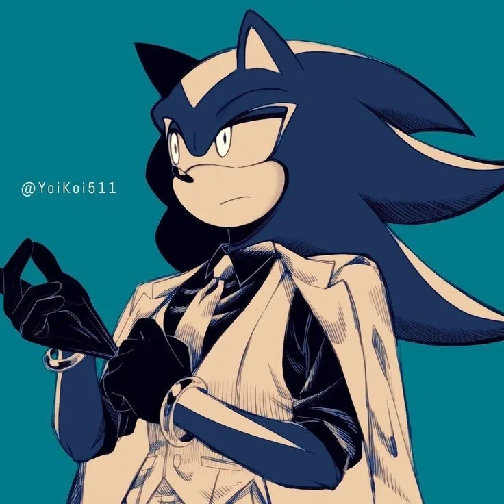 Shadow The Hedgehog