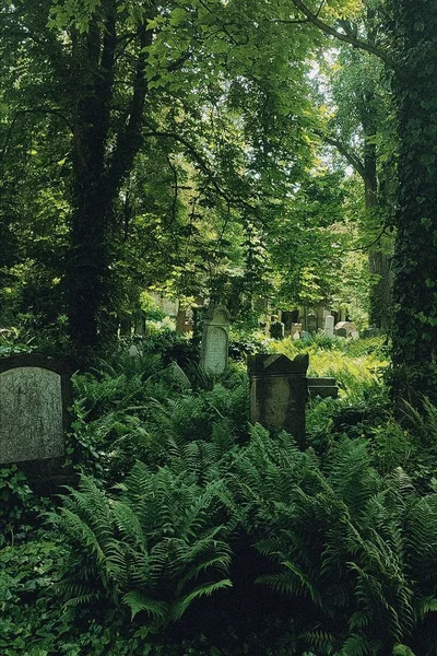 Graveyard Town