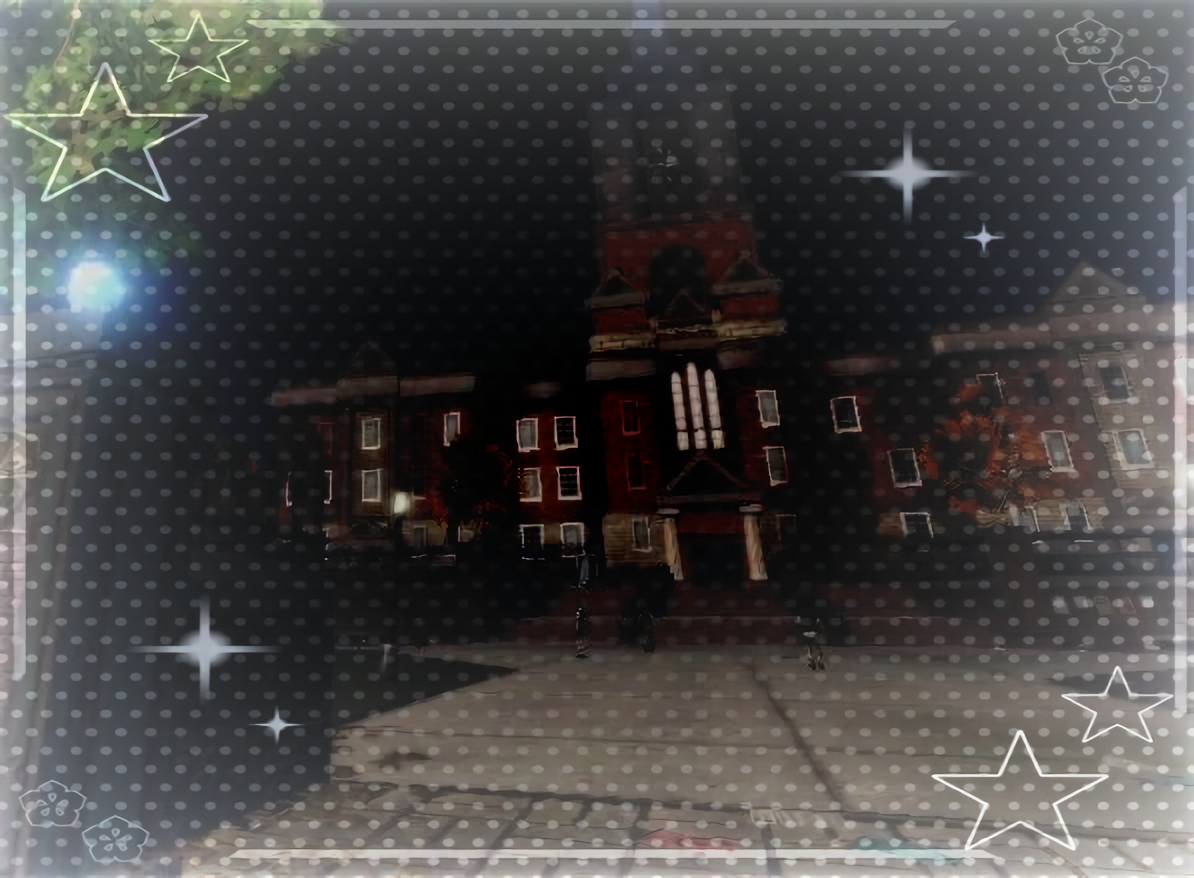•꙳★~ Bullworth Academy ~★꙳•