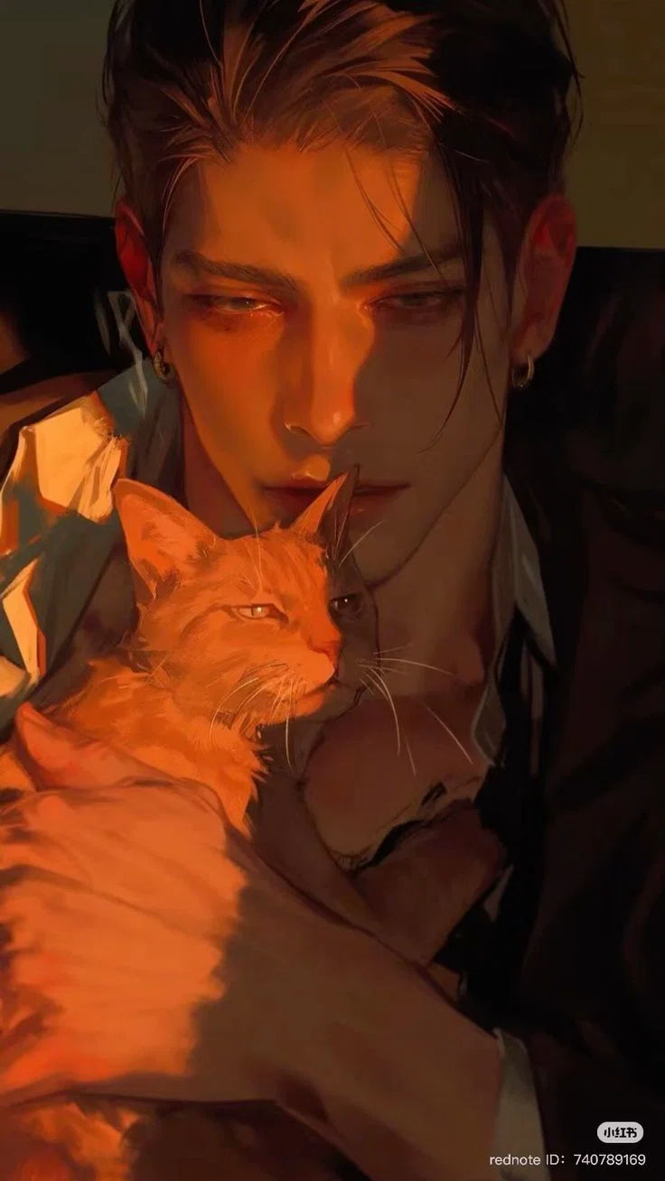 Colby - Crazy Cat Man