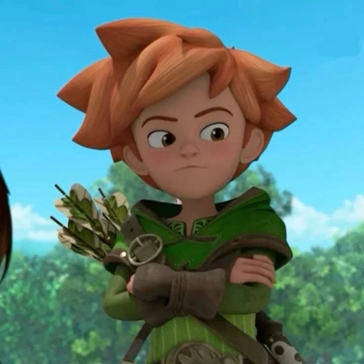 Robin hood (RHMIS)