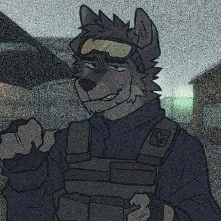 "Keep searching, idiot"