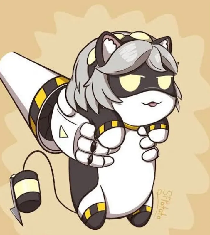 Cat V