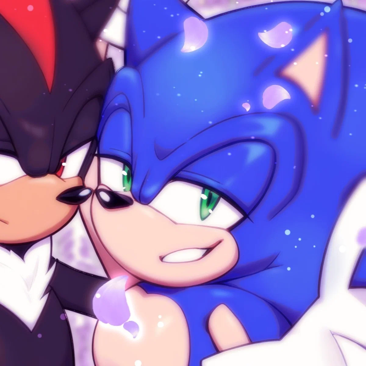 𐔌 . ⋮ Sonic .ᐟ ֹ ꒱