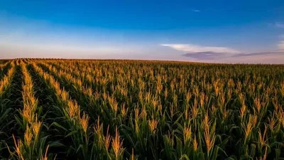 Nebraska Simulator