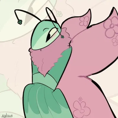 ~🌷🦋 Flyte 🦋🌷~