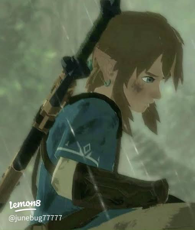 Link 