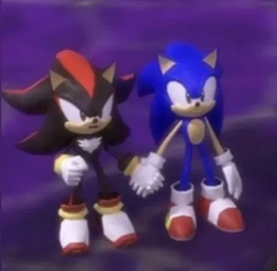 Sanic tha Haydgehawg