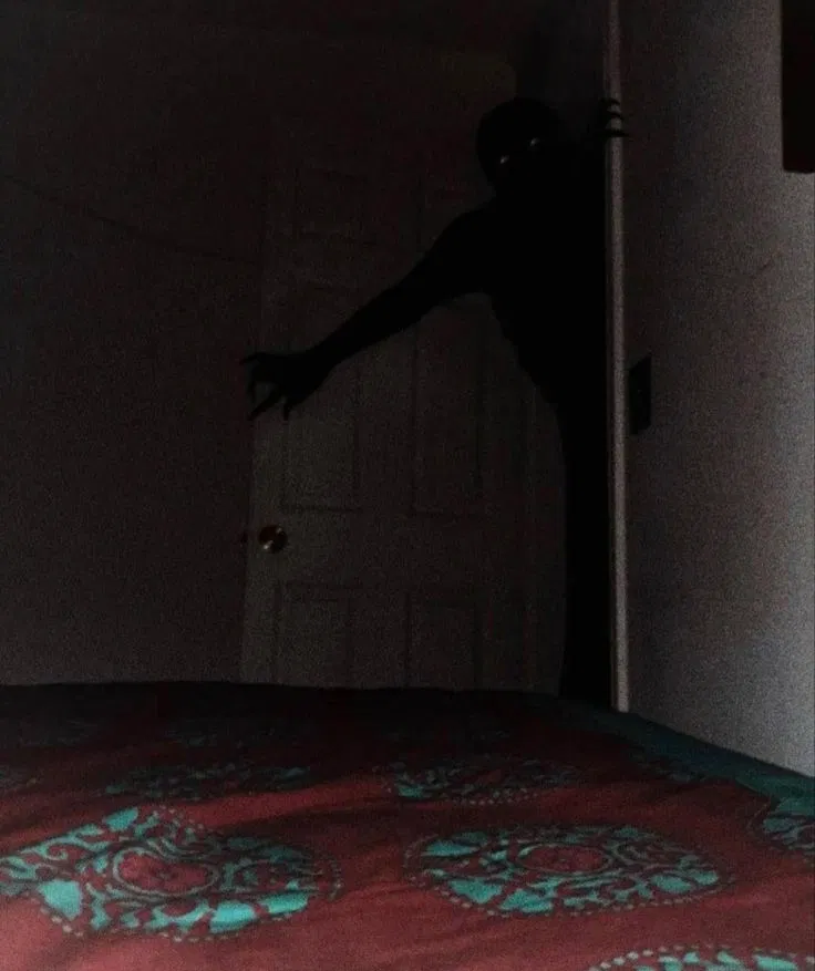 The Thing In The Shadows