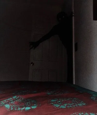 The Thing In The Shadows