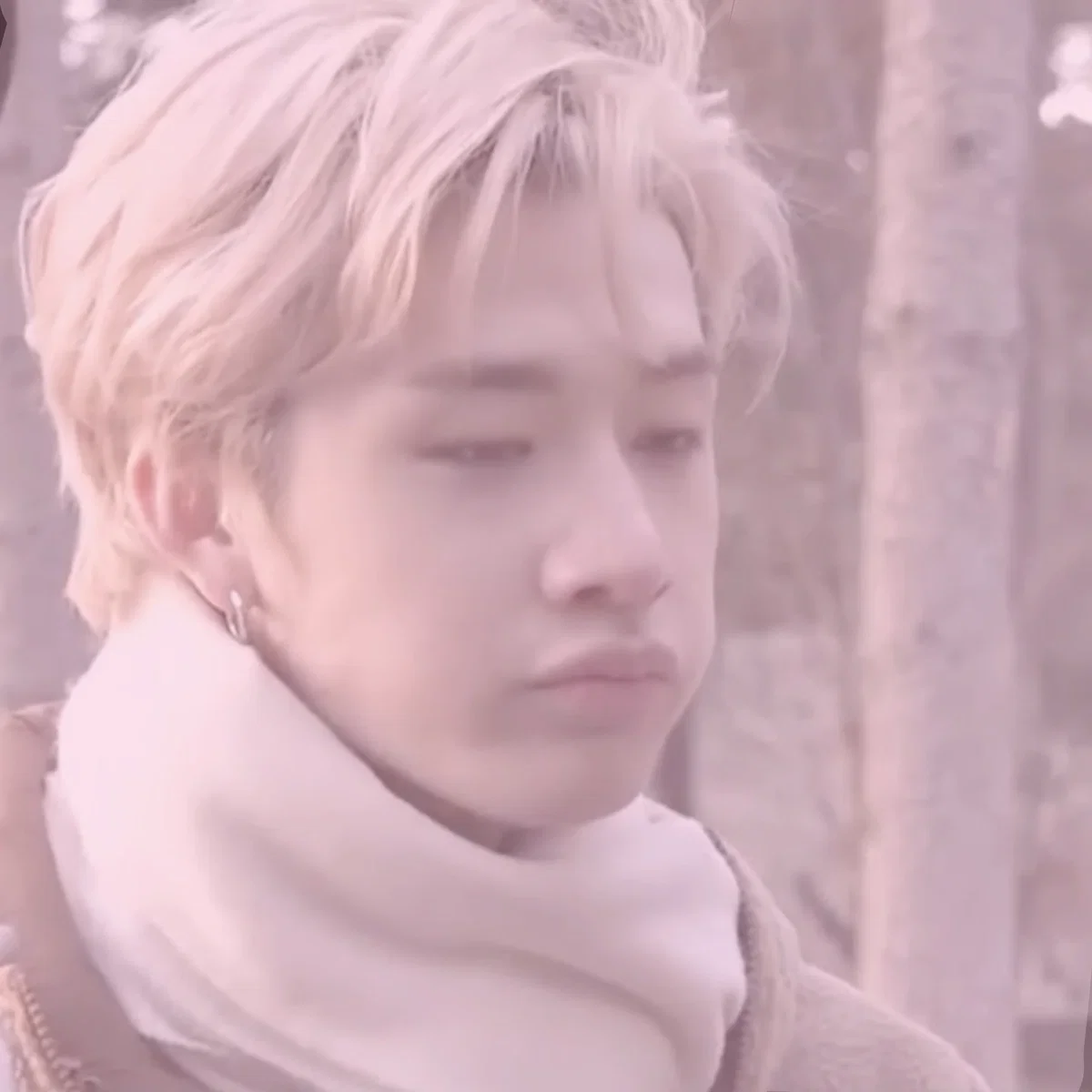 Bangchan - Perfect