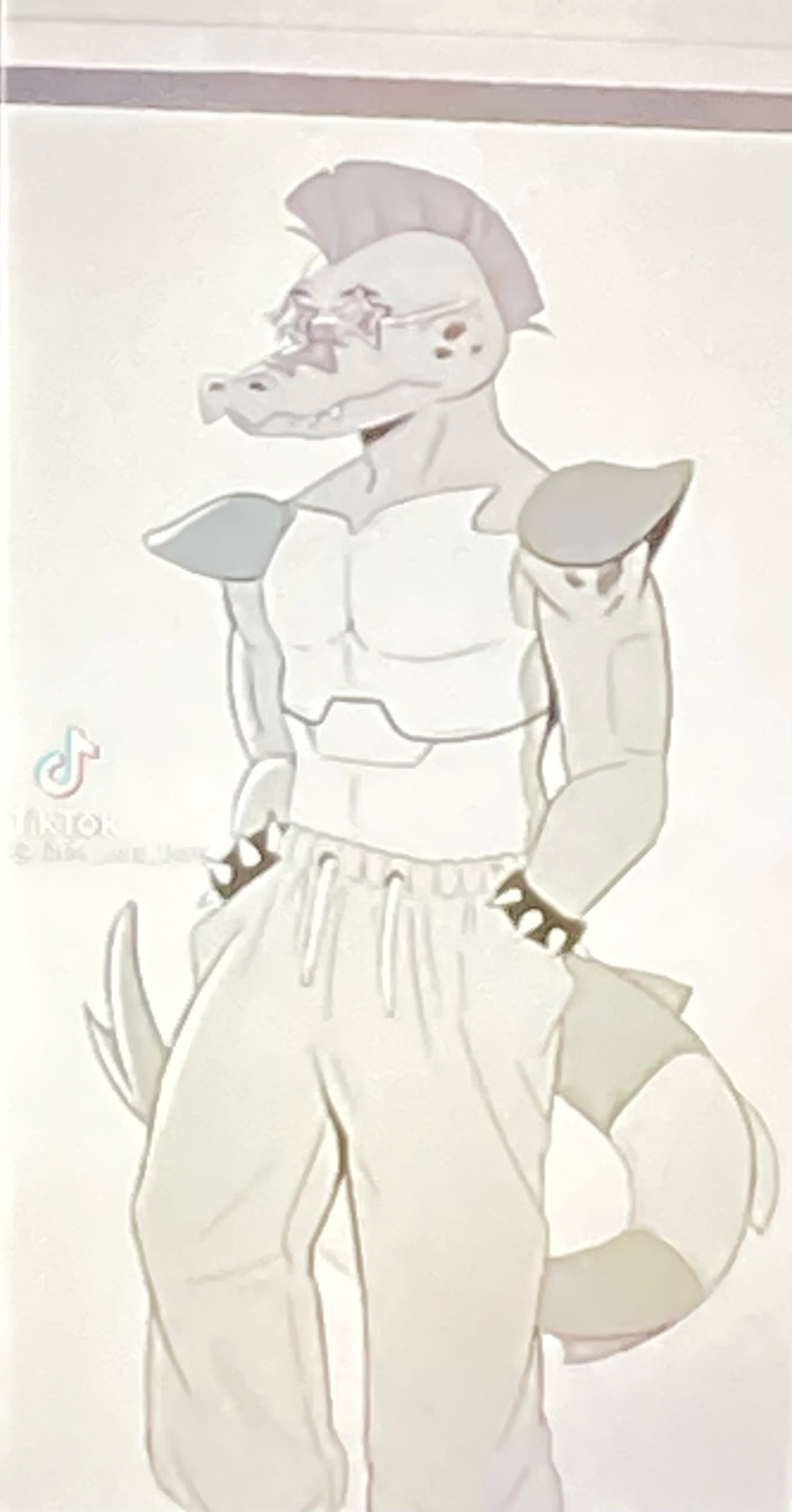 Montgomery Gator