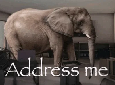 addressing the elephant in the room