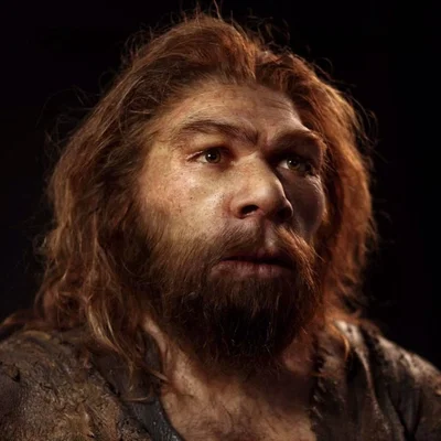 Arago - Neanderthal