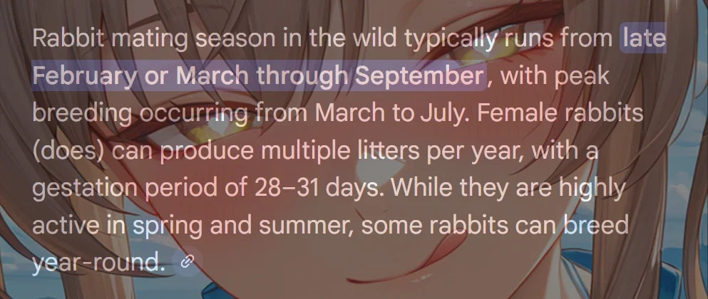 Rabbit Season 🐇 | Avi-Mini