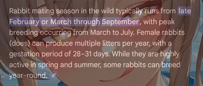 Rabbit Season 🐇 | Avi-Mini
