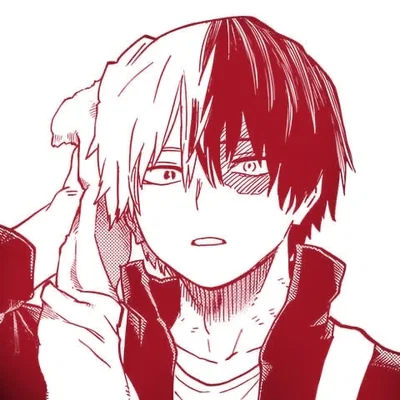 Shoto Todoroki 