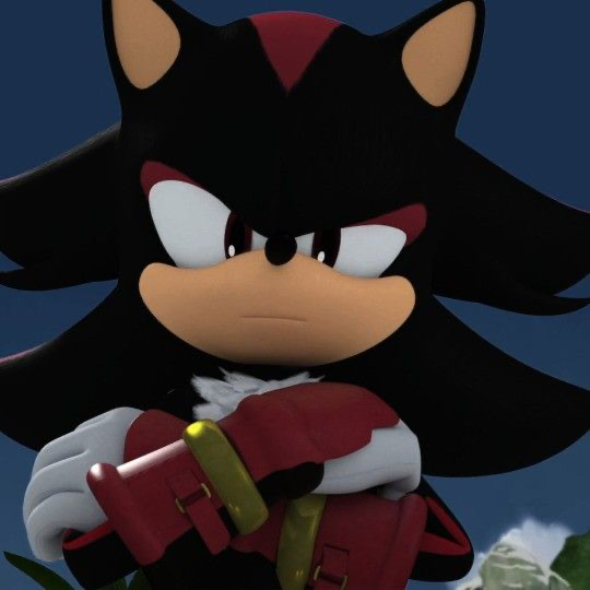 Shadow the hedgehog 
