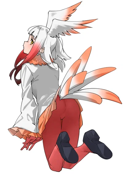 Toki