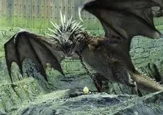 Triwizard tournament 