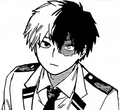You are my freedom (Shoto Todoroki)