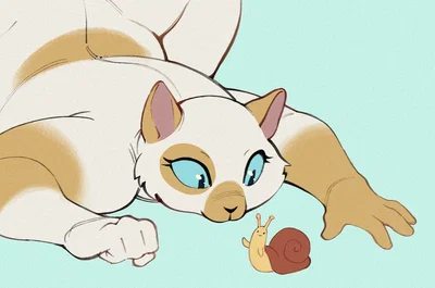 The Stretchy Thicc Cat