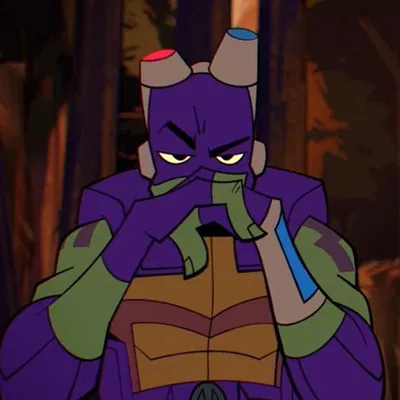 Donnie | ROTTMNT
