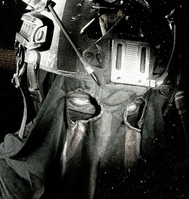 König - Stinky