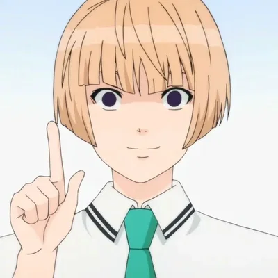 Akechi Touma