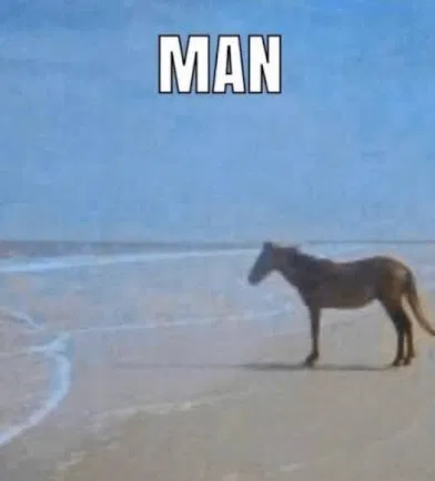 god damnit.