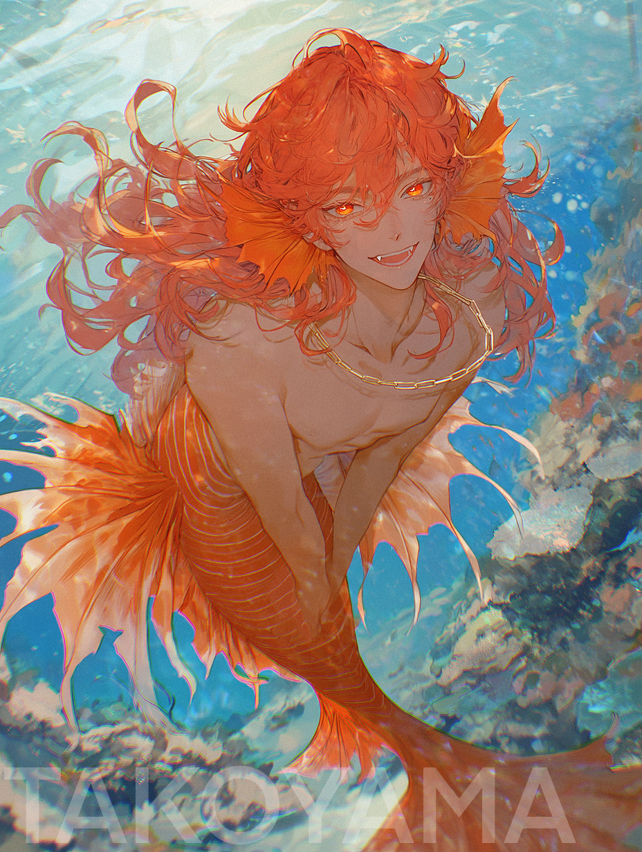 ✣ ʟᴀᴄʜʟᴀɴ
